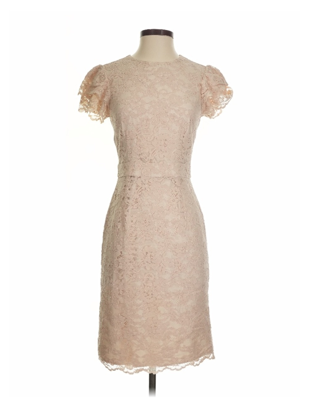 Rachel Parcell Blush Lace Midi Dress with Puff Sleeves